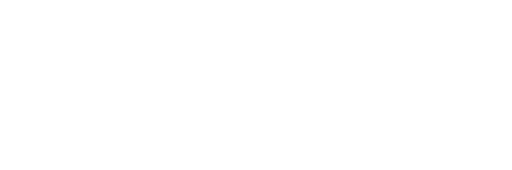 logo-pamix-white